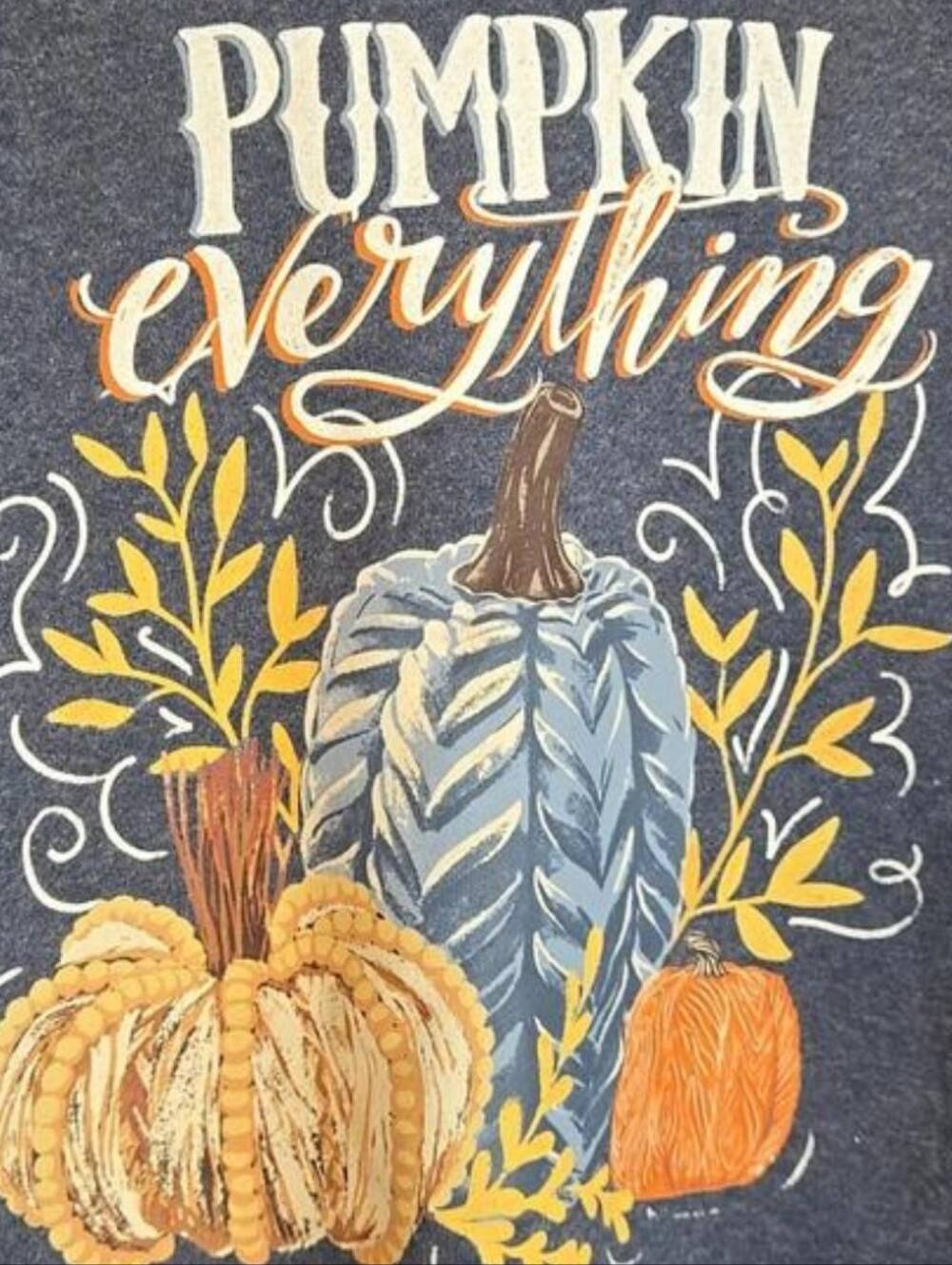 Lincoln Outfitters Gray Blue Pumpkin Everything Graphic Hooded Sweatshirt S